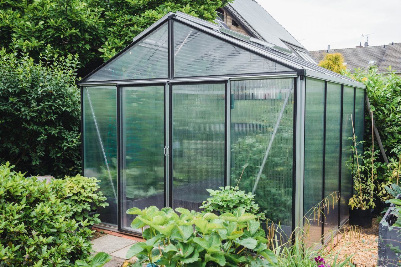 A greenhouse Steve assembled in Yinnar